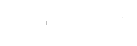 Nubridesign